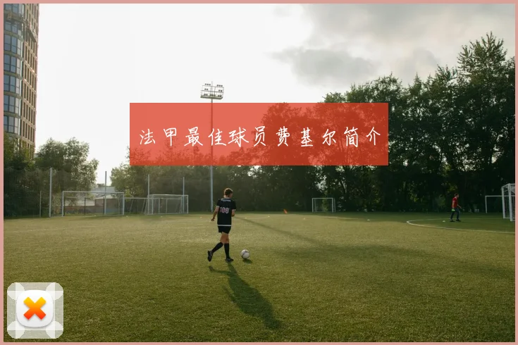 法甲最佳球员费基尔简介